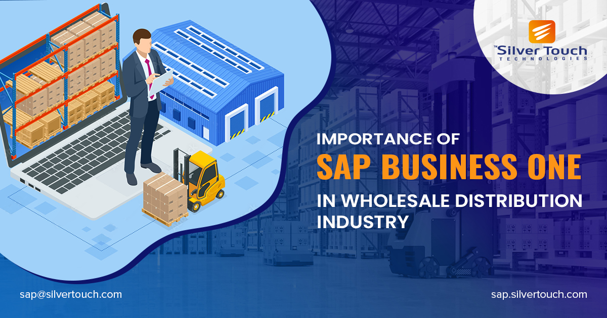 SAP B1 in wholesale industry