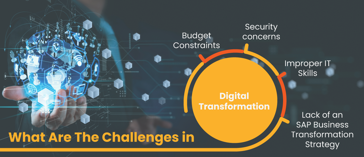 Challenges in Digital Transformation
