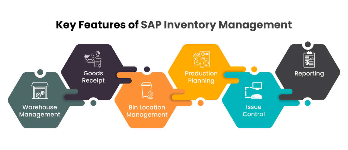 Features of SAP inventory management