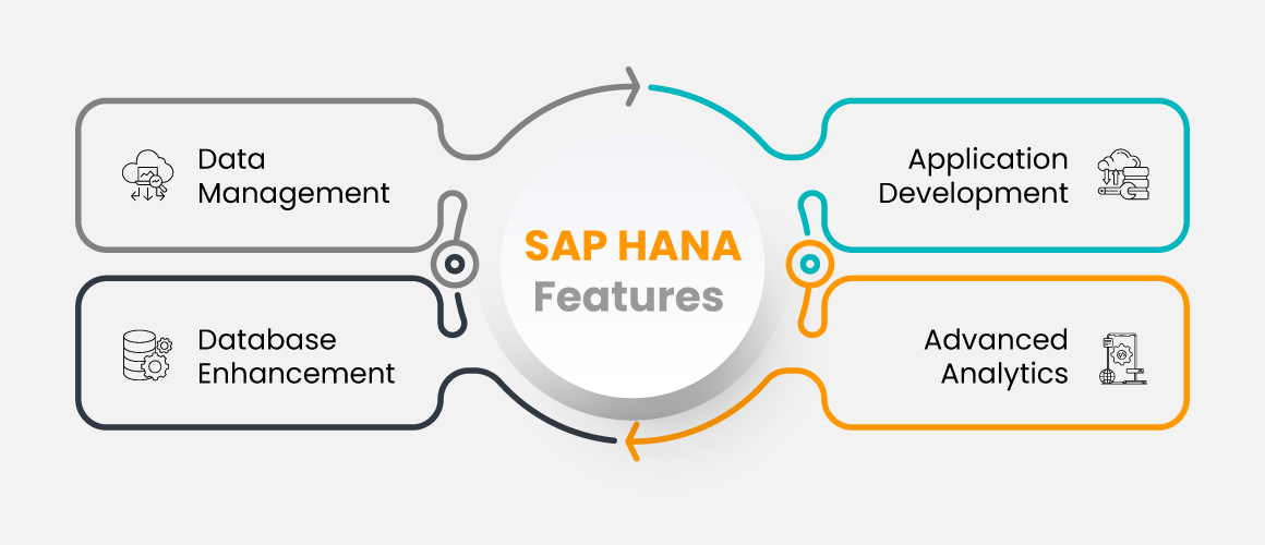 SAP HANA features