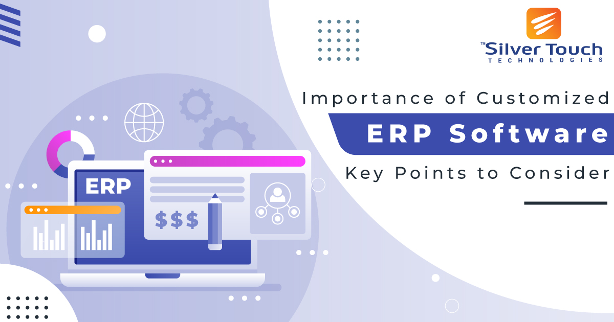 Importance of ERP Software Customization- Key Points to Consider