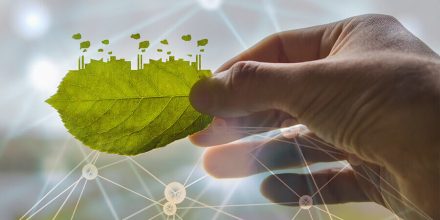 ERP and sustainability