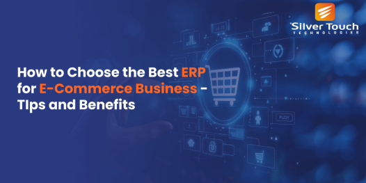 How to Choose the Best ERP for E-Commerce Business- Tips and Benefits